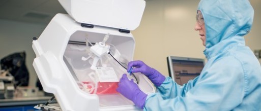 Xuri™ Cell Expansion System W25: Hücre Kültürü İçin Doğru Sistem mi?