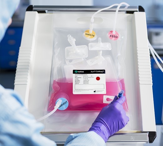 Xuri™ Hücre Çoğaltma Sistemi W25 1