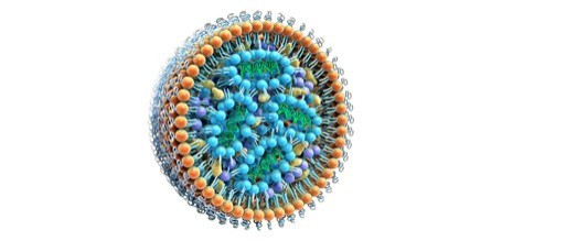 İnsan Primer T Hücrelerinin Lipid Nanopartiküllerle Genom Düzenlemesi